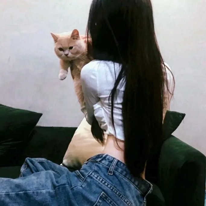 明珠游龙
